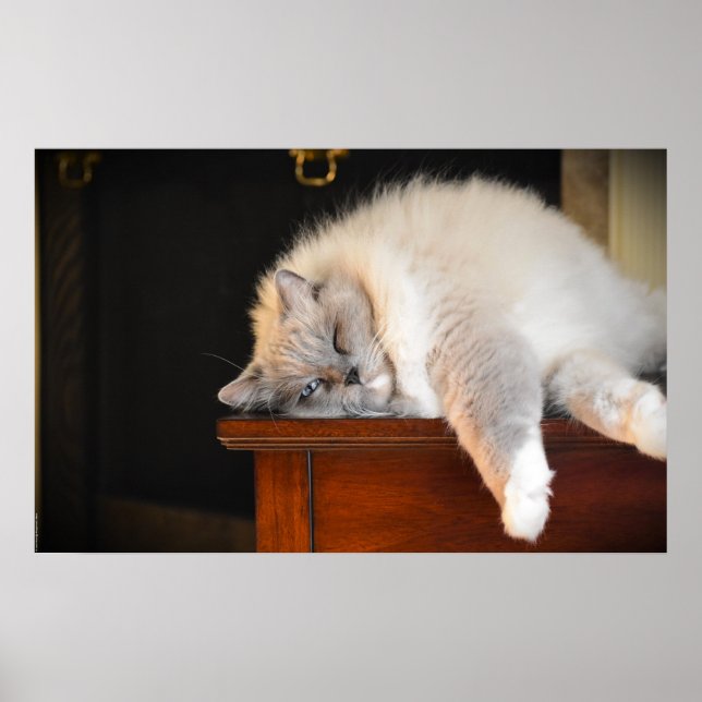 Poster Dias Lentos, (Frente)