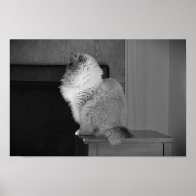 Poster Dias Lentos, (Frente)