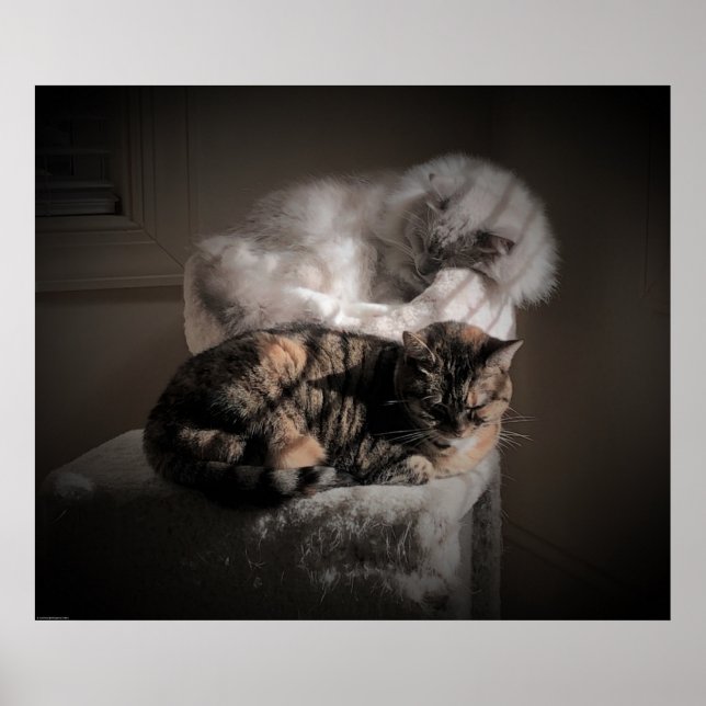 Poster Dias Lentos, (Frente)