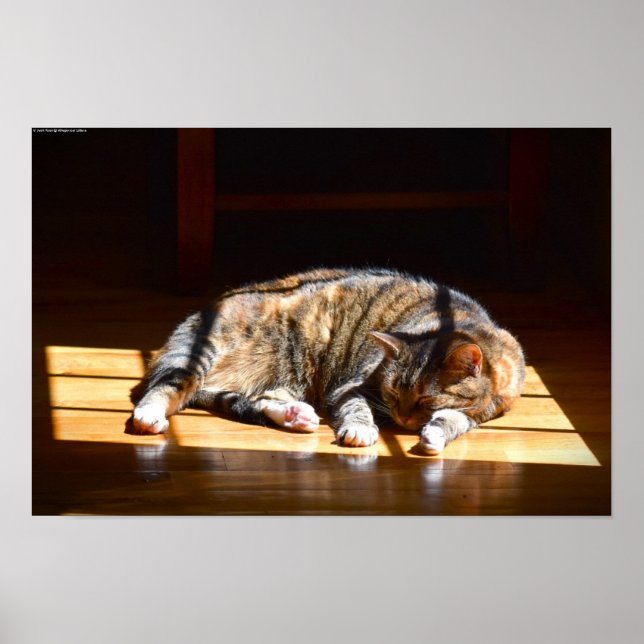 Poster Dias Lentos, (Frente)