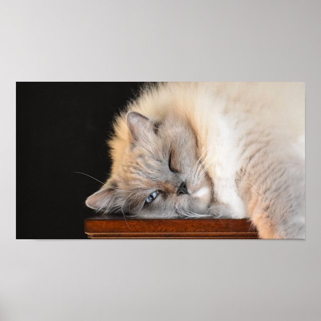 Poster Dias Lentos, (Frente)