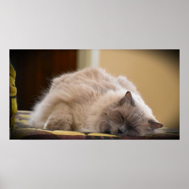 Poster Dias Lentos, (Frente)