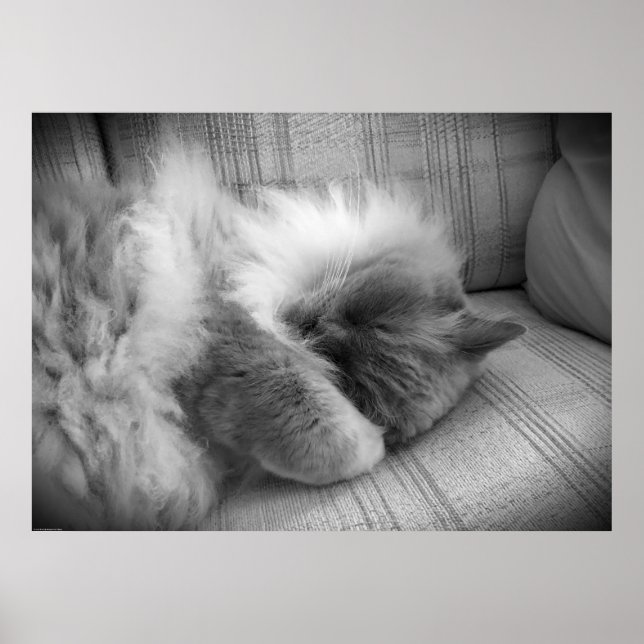 Poster Dias Lentos, (Frente)