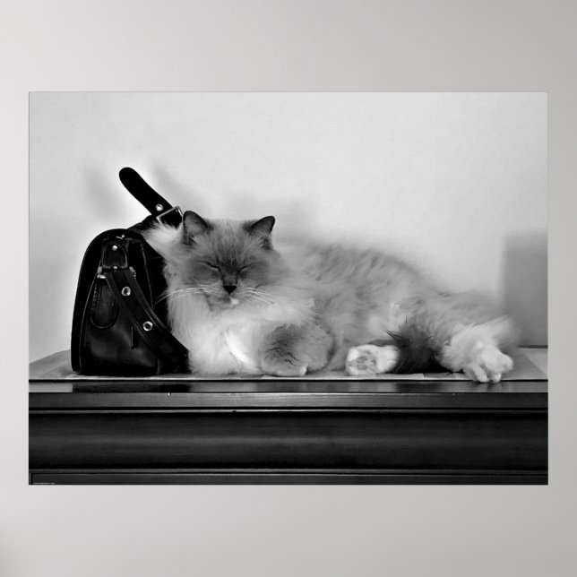 Poster Dias Lentos, (Frente)