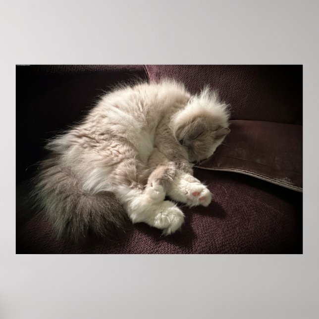 Poster Dias Lentos, (Frente)