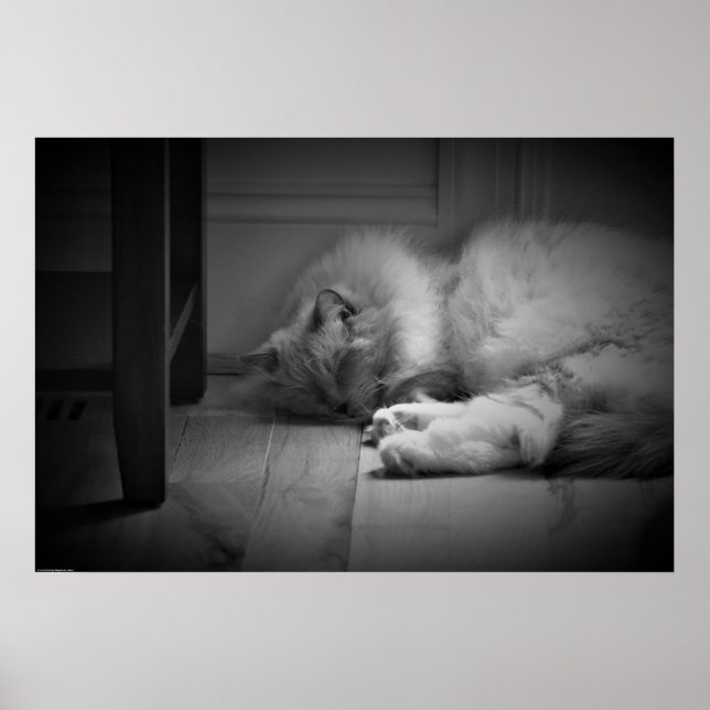 Poster Dias Lentos, (Frente)