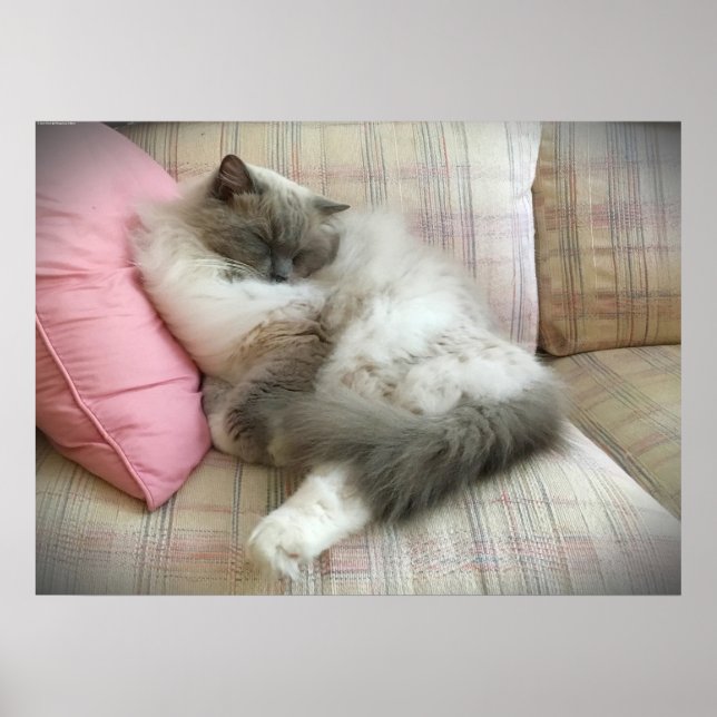 Poster Dias Lentos, (Frente)