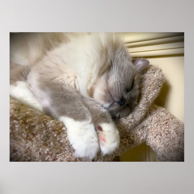 Poster Dias Lentos, (Frente)