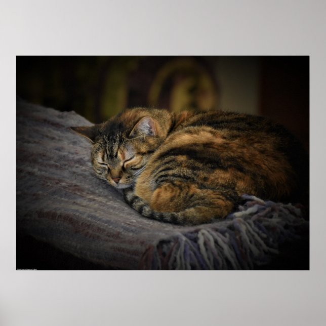 Poster Dias Lentos, (Frente)