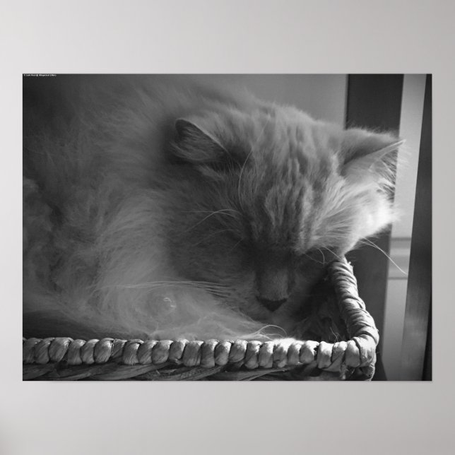 Poster Dias Lentos, (Frente)