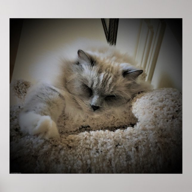 Poster Dias Lentos, (Frente)