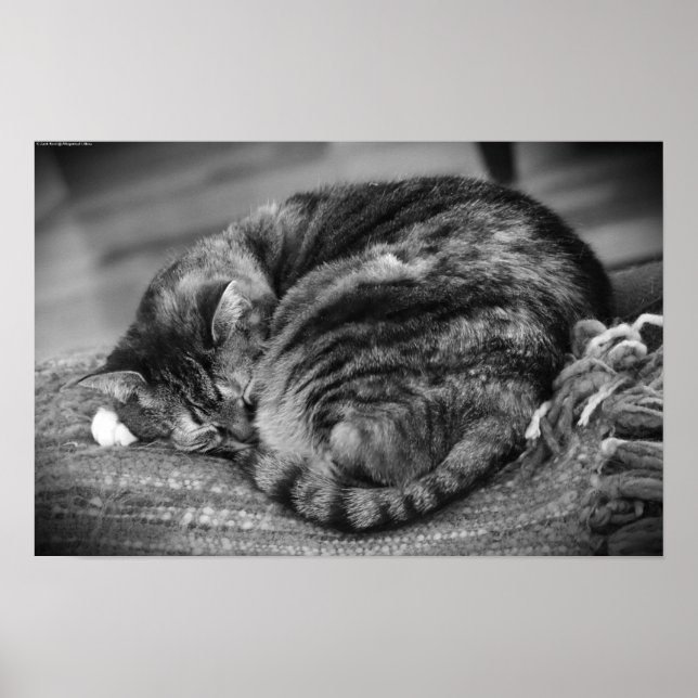 Poster Dias Lentos, (Frente)