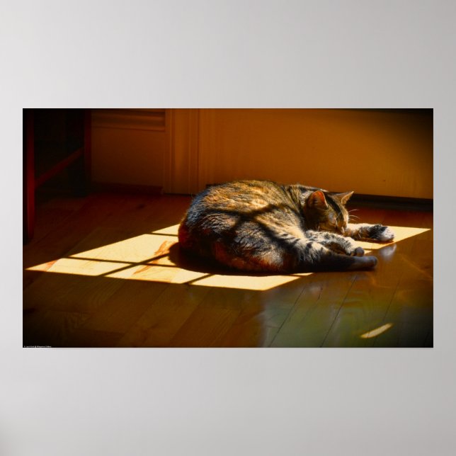 Poster Dias Lentos, (Frente)