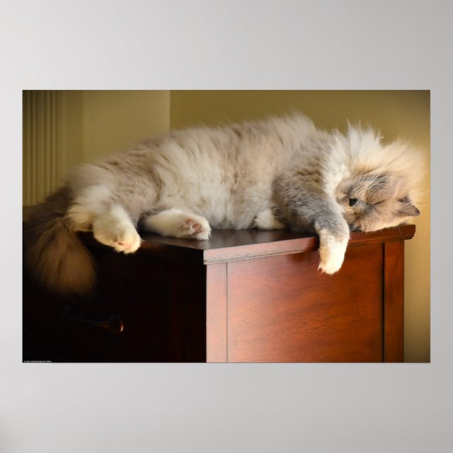 Poster Dias Lentos, (Frente)