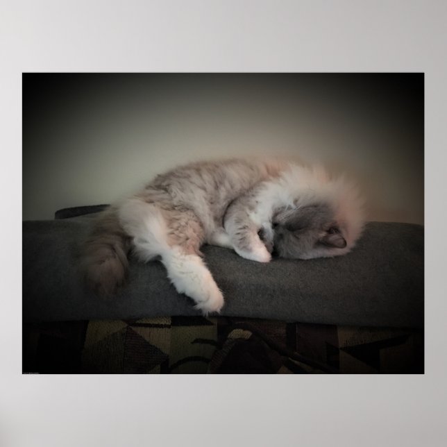 Poster Dias Lentos, (Frente)