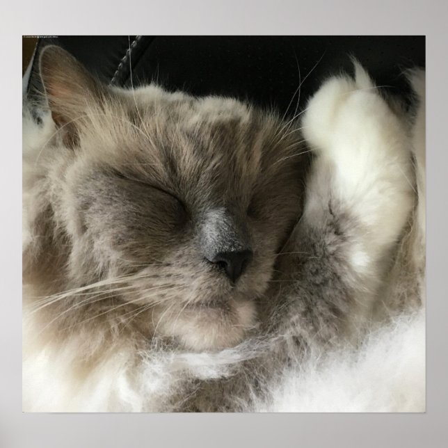 Poster Dias Lentos, (Frente)