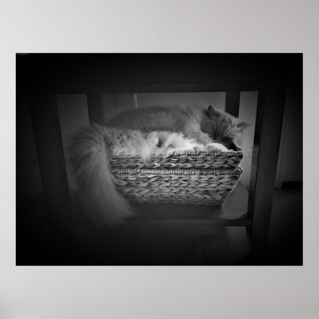 Poster Dias Lentos, (Frente)