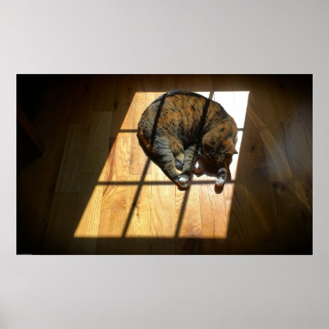 Poster Dias Lentos, (Frente)