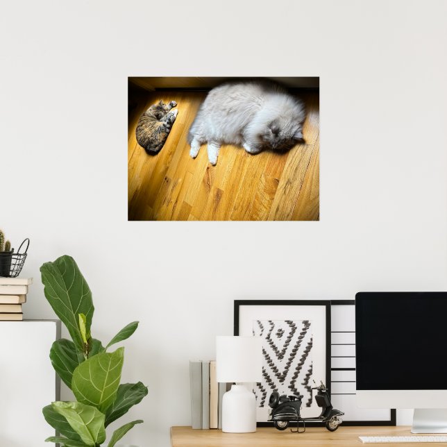 Poster Dias Lentos, (Escritório em casa)
