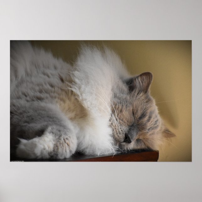 Poster Dias Lentos, (Frente)