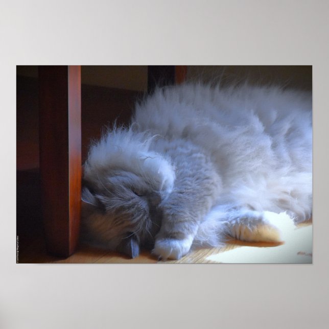 Poster Dias Lentos, (Frente)