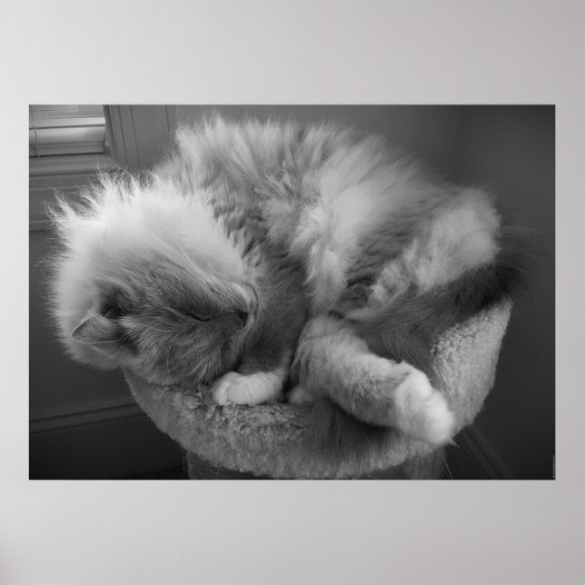 Poster Dias Lentos, (Frente)