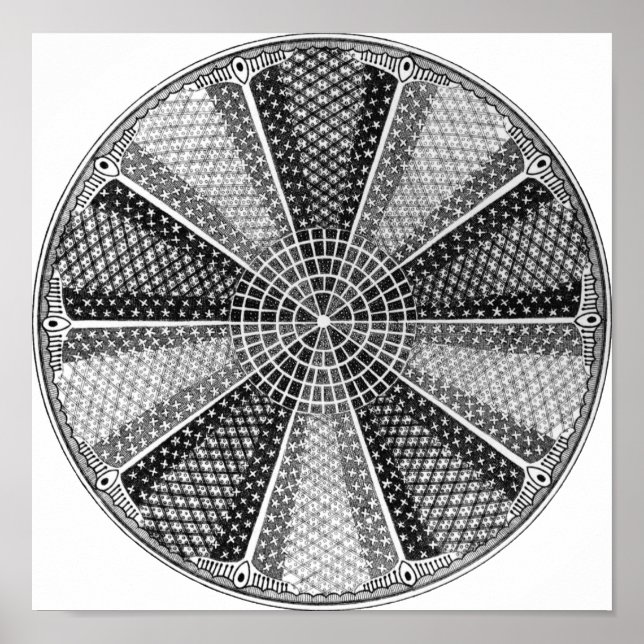 Pôster Diatom 13 Ernst Haeckel Fine Art (Frente)