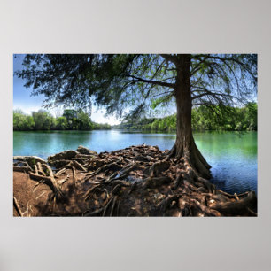 Poster Dica da Ilha RedBud no lago LadyBird - Austin TX