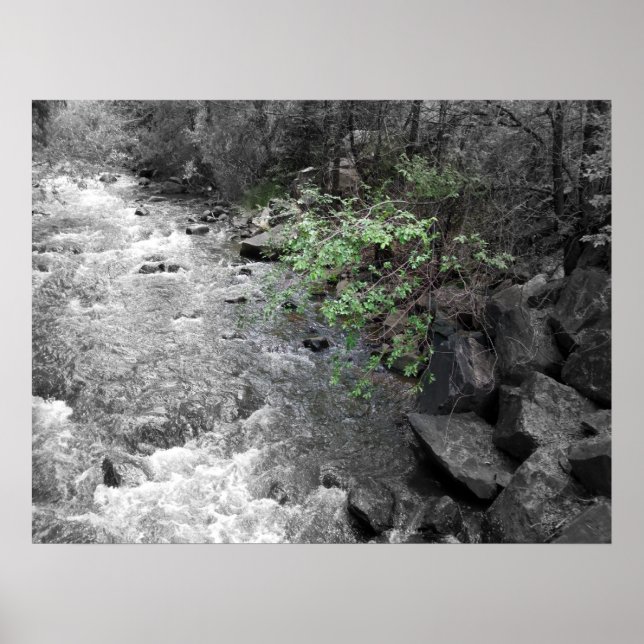 Pôster Dica do Verde (Frente)