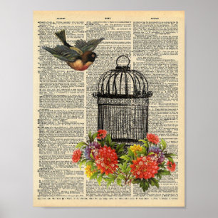 Poster Dicionário de colheita de aves flores de aves