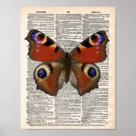 Poster Dicionário francês Vintage com borboleta Peacock