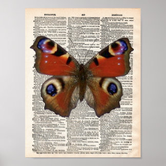 Poster Dicionário francês Vintage com borboleta Peacock