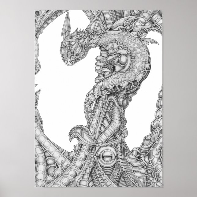 Pôster Diddy Dragon Worker (Frente)