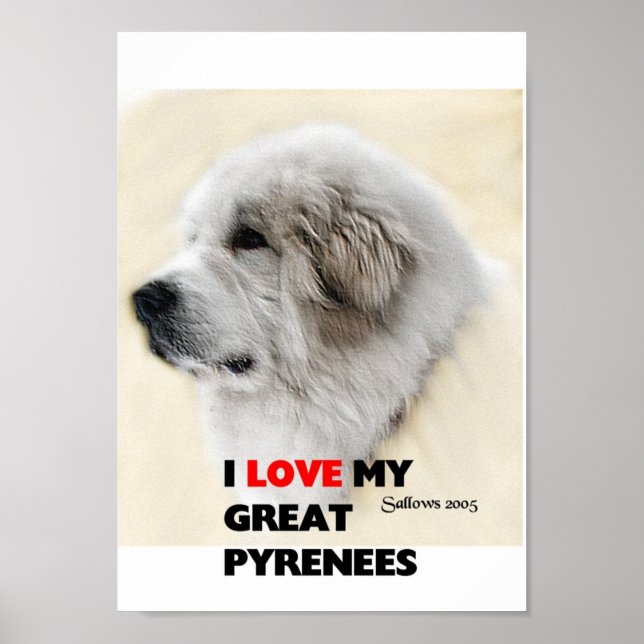 Pôster diego (Frente)