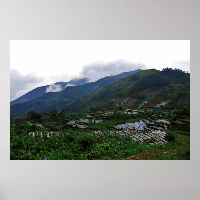 Poster Dieng Fazenda (Frente)