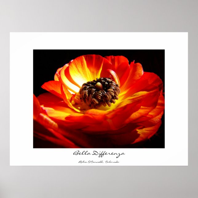 Pôster Diferença (com nome) (Frente)