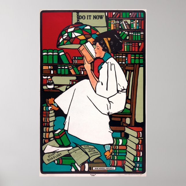 Pôster Dig (Frente)