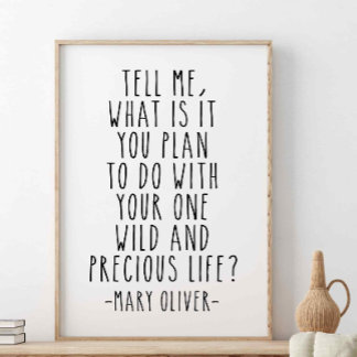 Poster Diga-Me O Que Você Planeja, Mary Oliver Cote