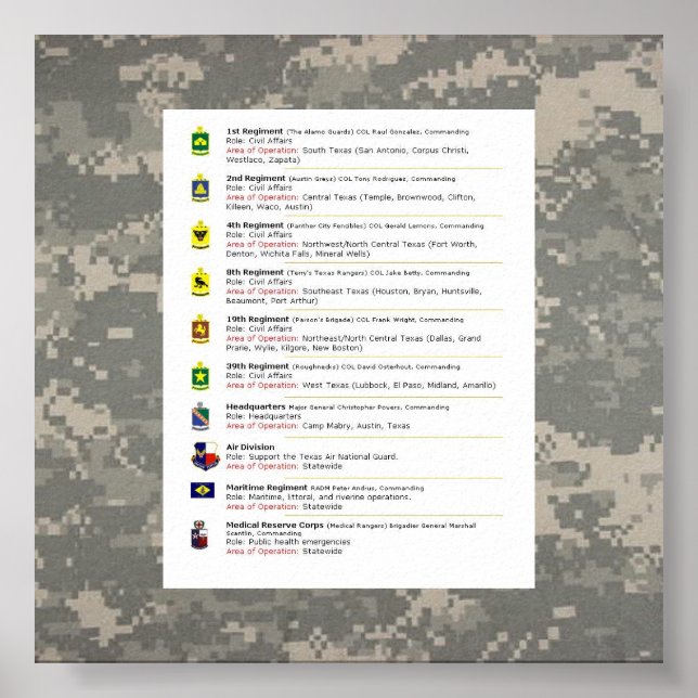 Poster digital, 10 maneiras de TXSG, UNITS TXSG (Frente)