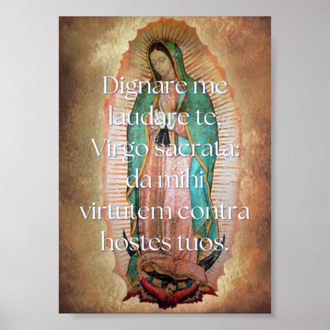Poster Dignare me Imprimir (Frente)