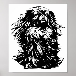 Pôster Dignidade Pekingese