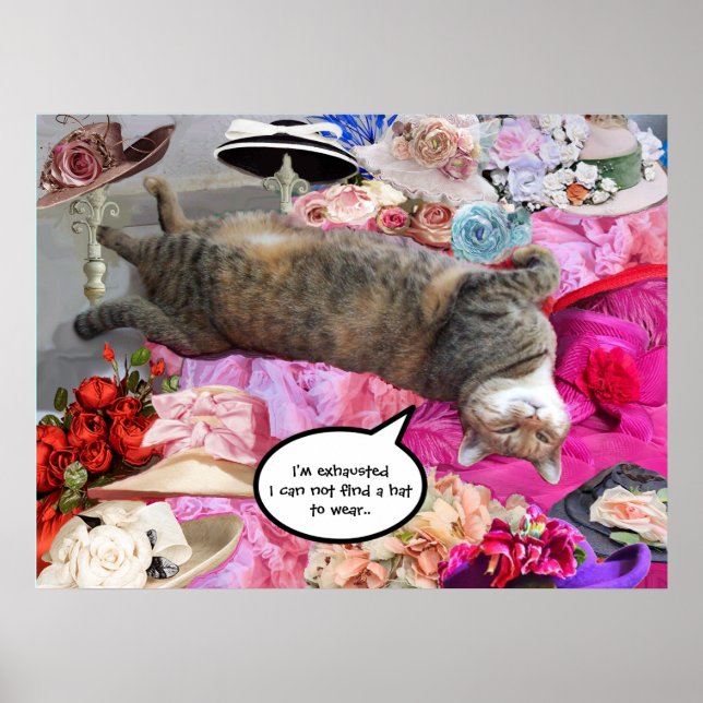 Pôster Dilema da Princesa Tatus Cat com Chapéus Diva (Frente)