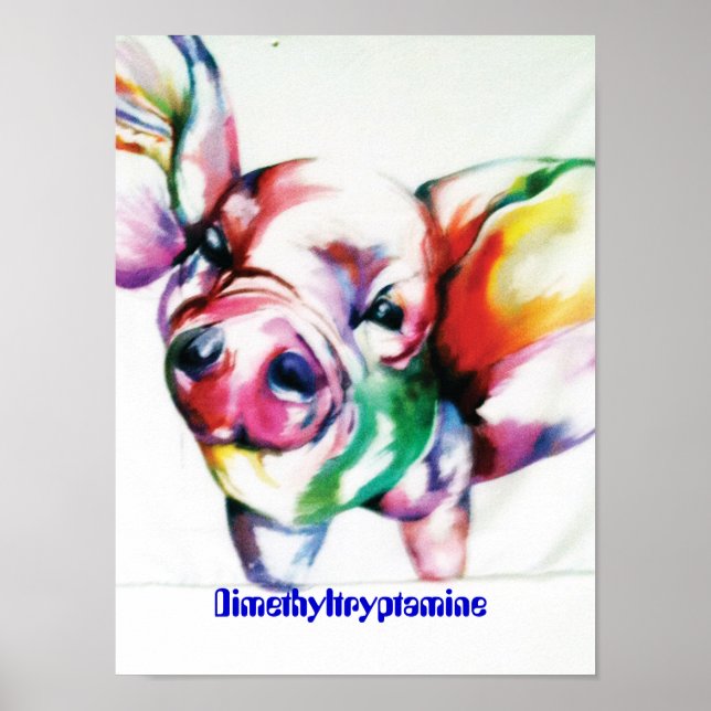 Poster Dimetiltriptamina (Frente)