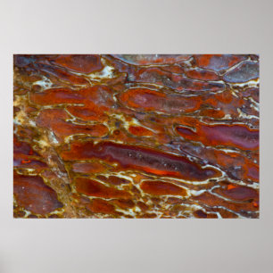 Poster Dinosaur Petrified Bone