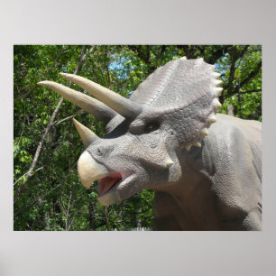 Pôster Dinosaur Triceratops