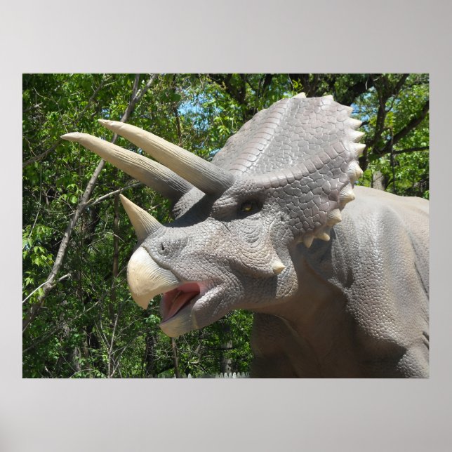 Pôster Dinosaur Triceratops (Frente)