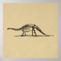 Dinossaur Skeleton Vintage Art