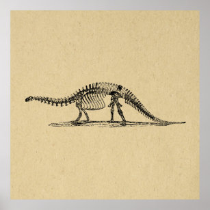 Poster Dinossaur Skeleton Vintage Art