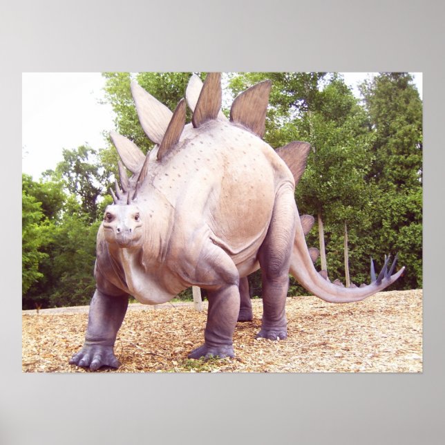 Poster Dinossauro (Frente)