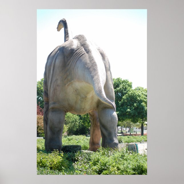 Pôster Dinossauro Brontosauro (Frente)